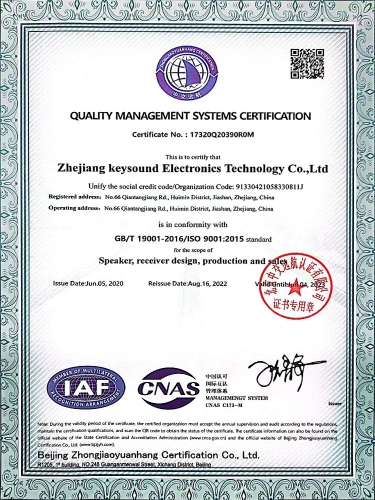 ISO 9001